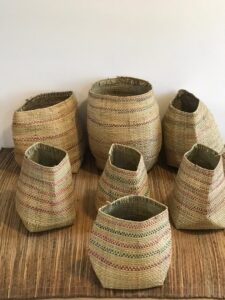 WhatsApp Image 2026-02-23 at 17.40.33 (1)